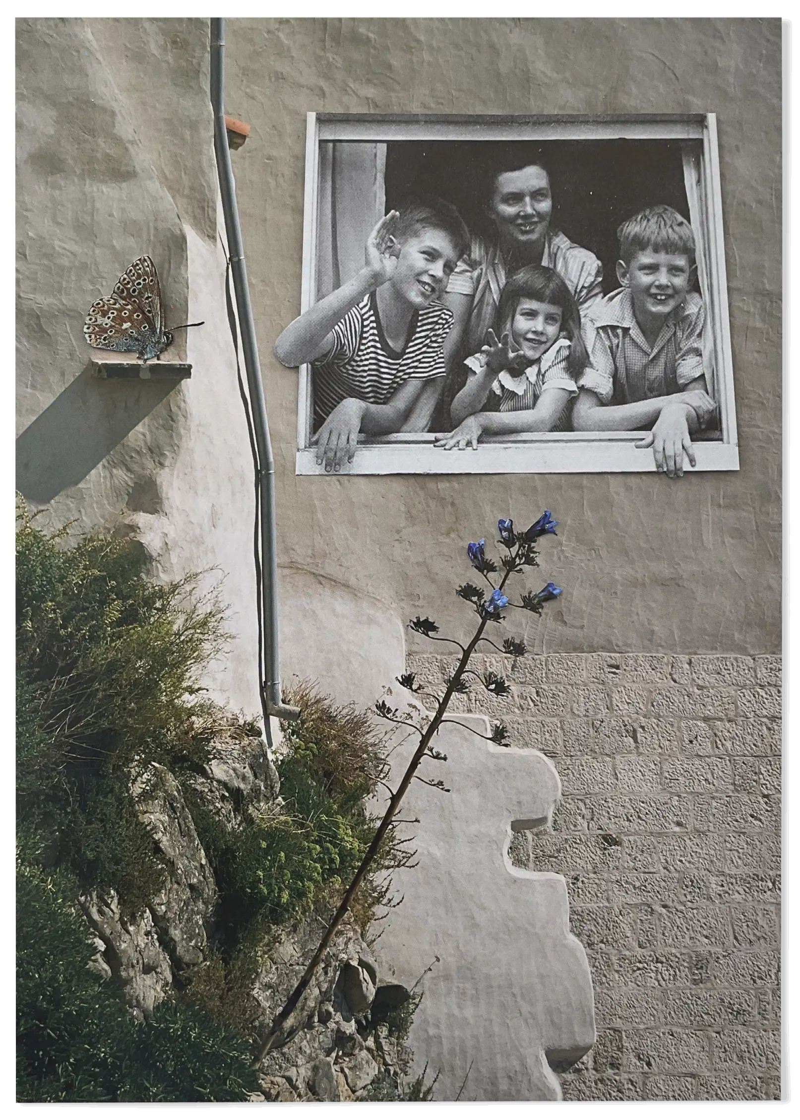 Una ventana a la felicidad, Victoria Antonijevic